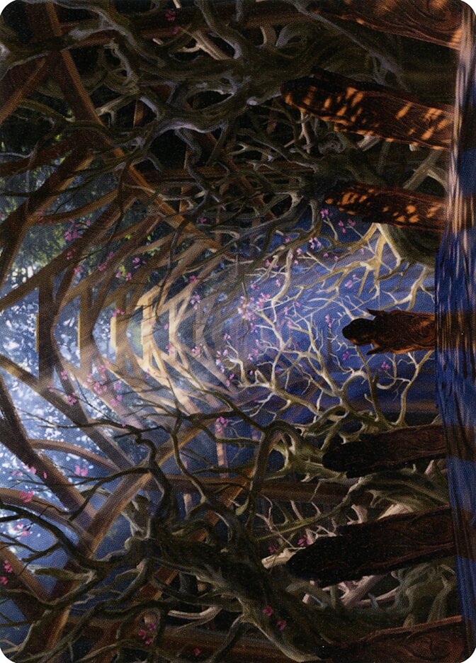 image Skemfar Elderhall // Skemfar Elderhall