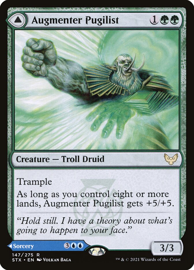 image Augmenter Pugilist // Echoing Equation