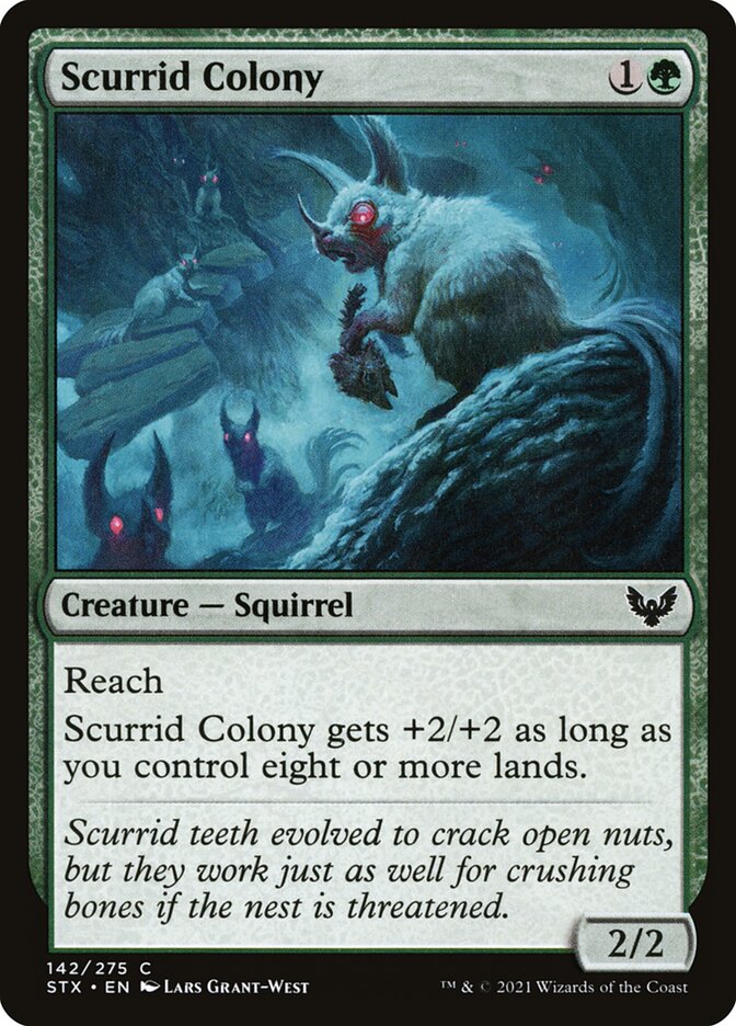 image Scurrid Colony