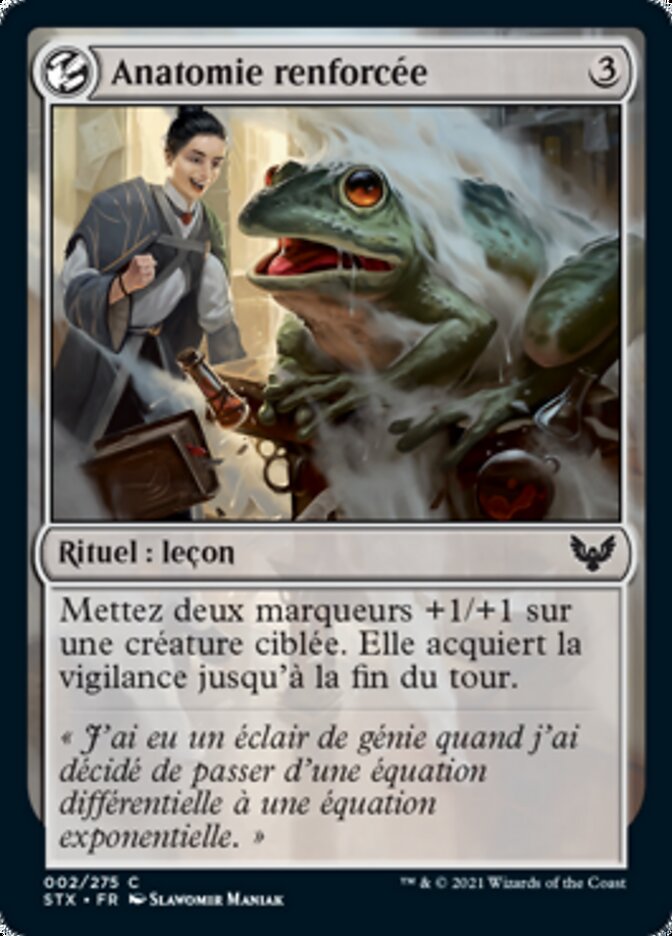 image Anatomie renforcée