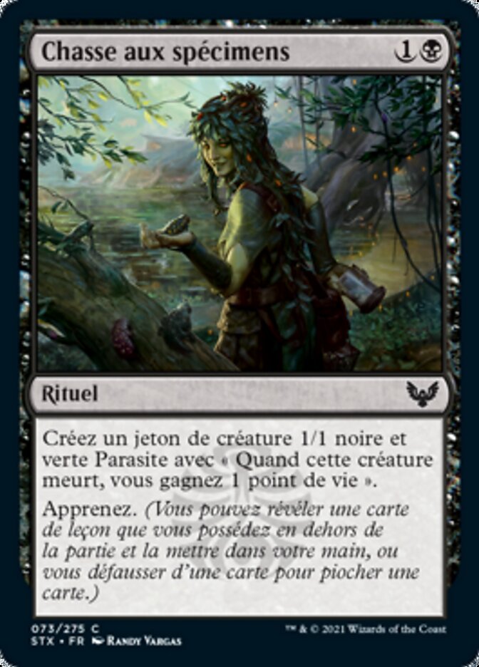 image Chasse aux spécimens