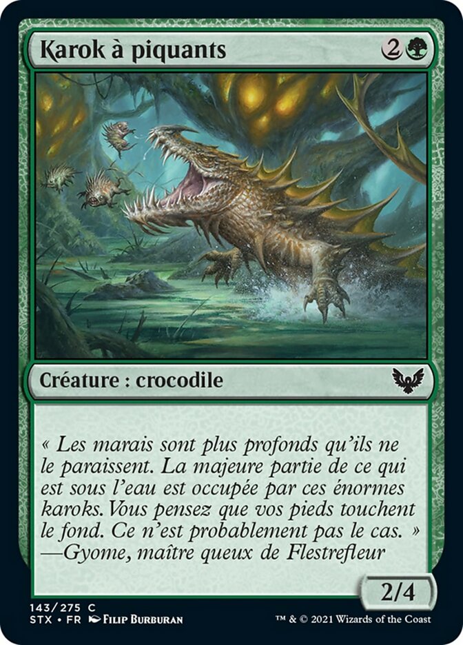 image Karok à piquants