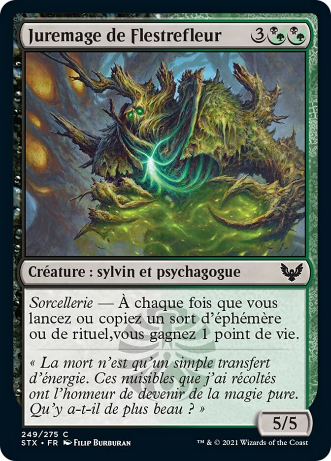 image Juremage de Flestrefleur