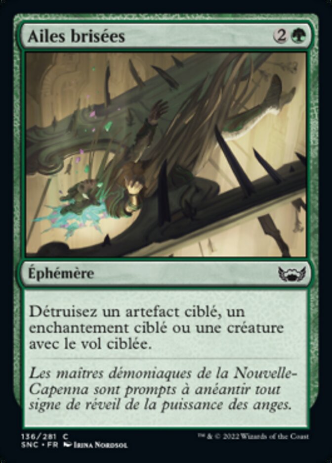 image Ailes brisées