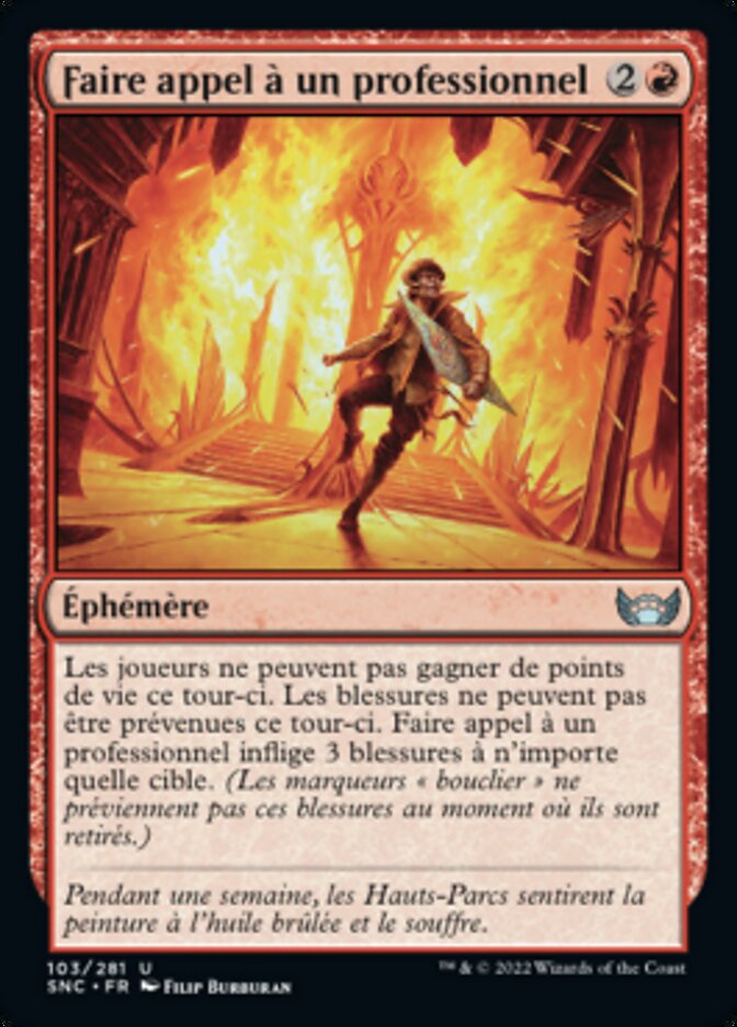 image Faire appel à un professionnel