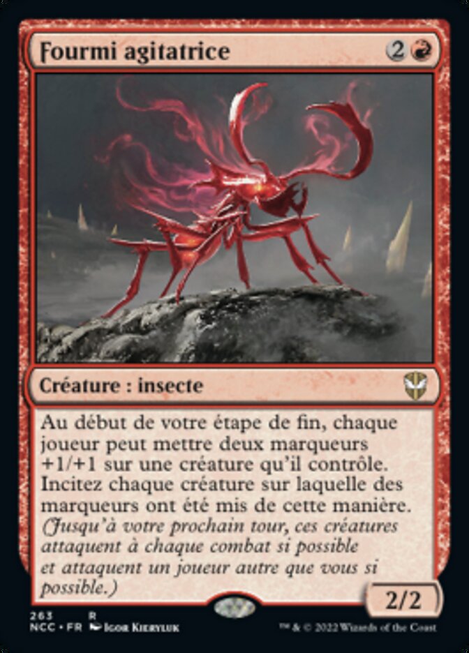 image Fourmi agitatrice