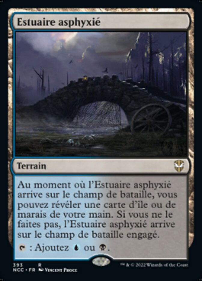 image Estuaire asphyxié