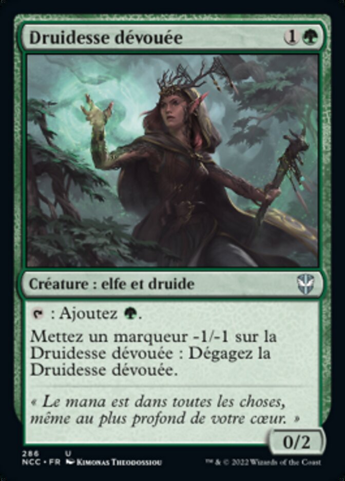 image Druidesse dévouée