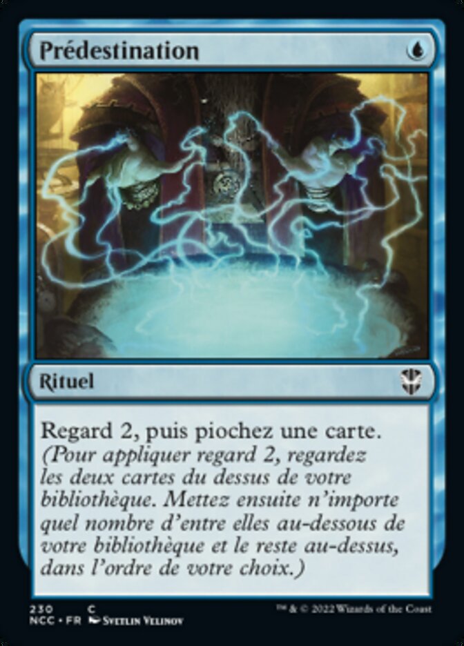 image Prédestination