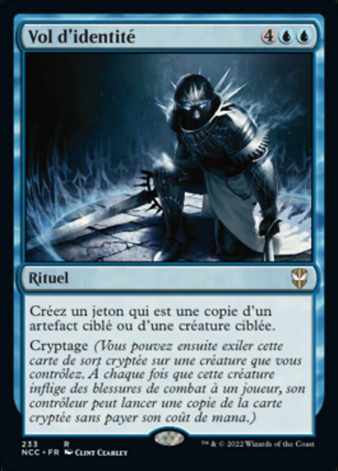 image Vol d'identité