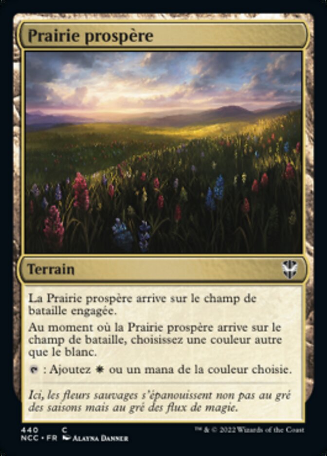 image Prairie prospère