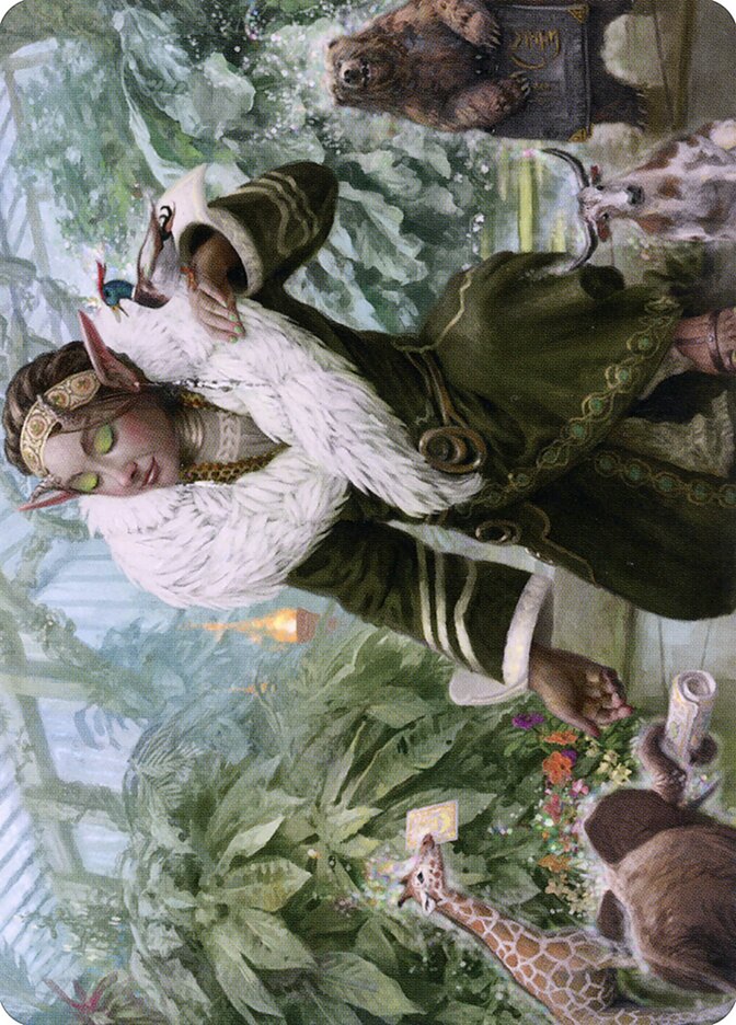 image Rumor Gatherer // Rumor Gatherer