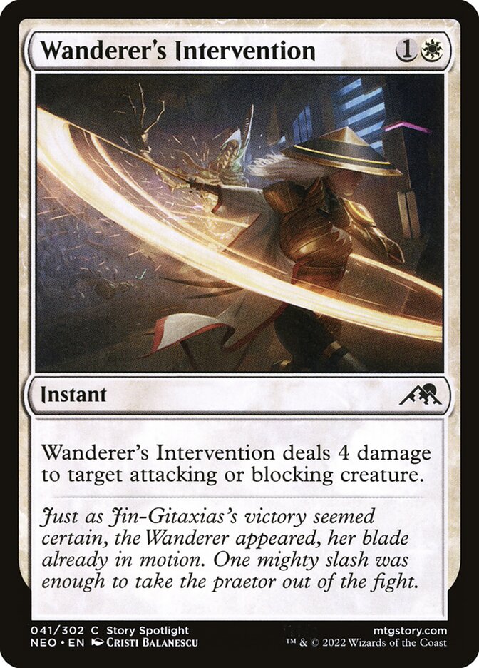 image Wanderer's Intervention