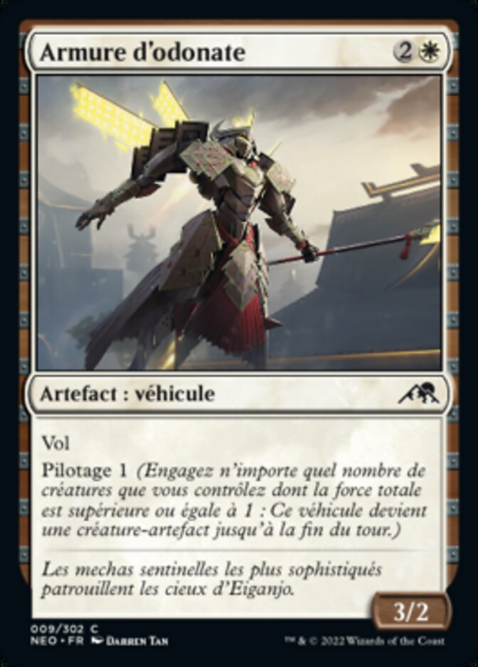 image Armure d'odonate