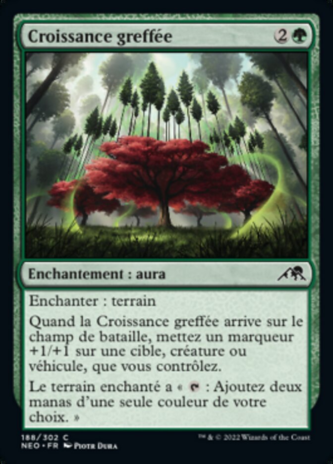 image Croissance greffée