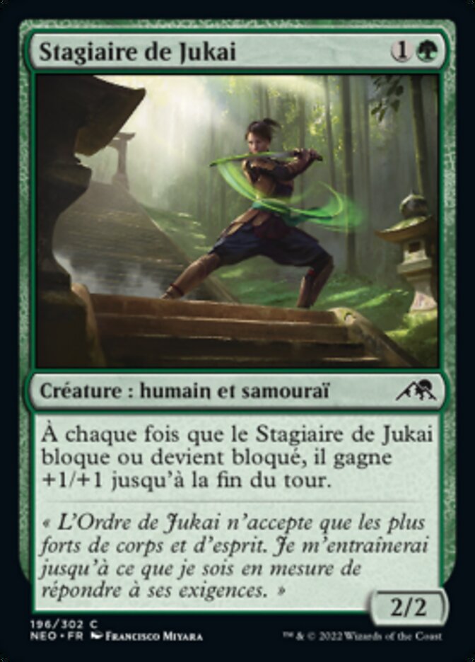 image Stagiaire de Jukai