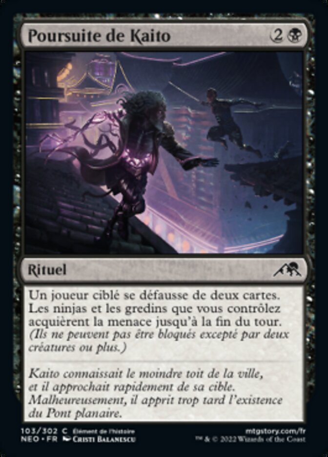 image Poursuite de Kaito