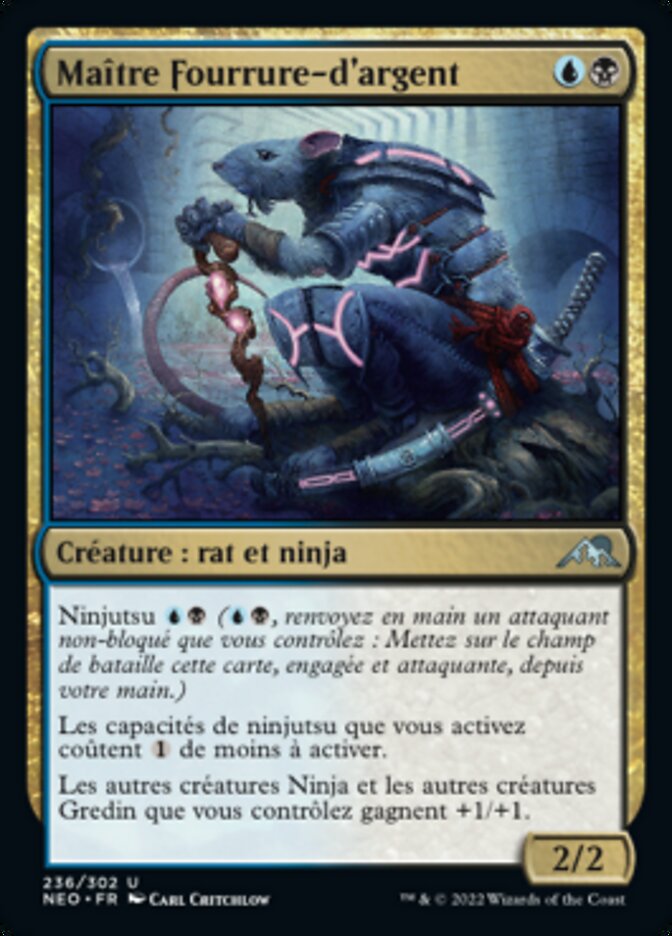 image Maître Fourrure-d'argent