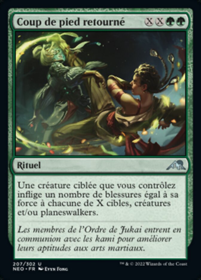 image Coup de pied retourné