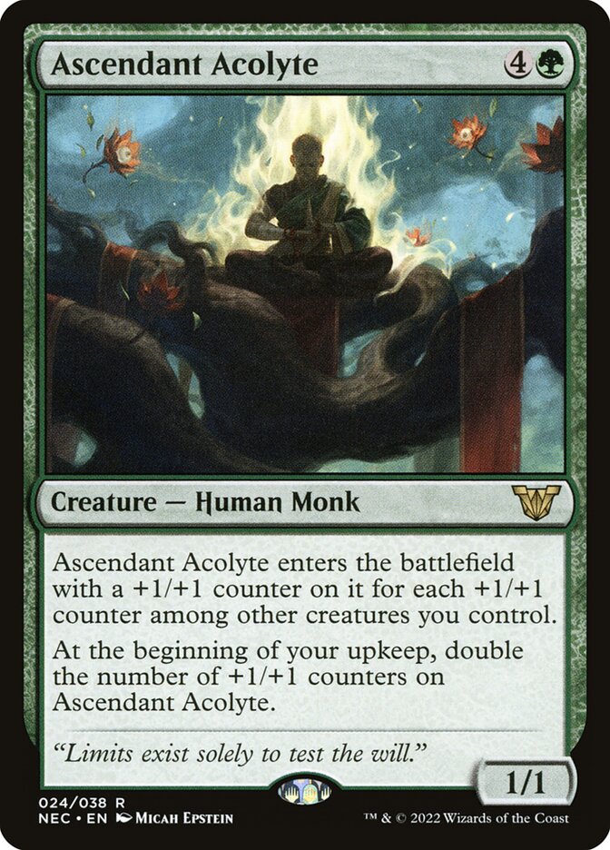 image Ascendant Acolyte