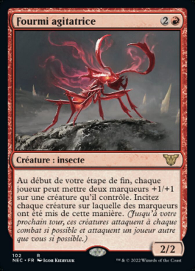 image Fourmi agitatrice