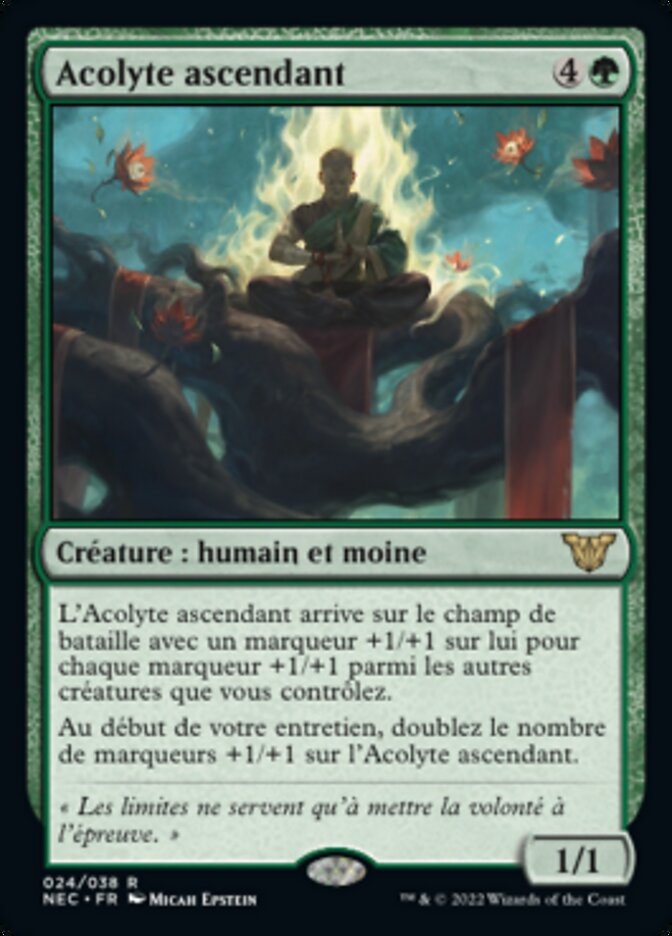 image Acolyte ascendant