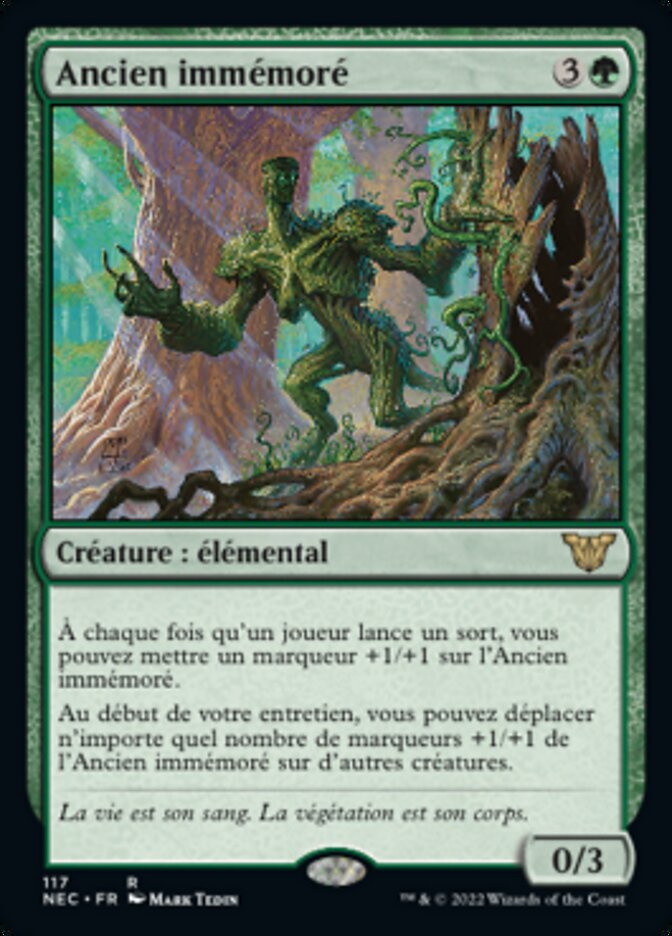 image Ancien immémoré