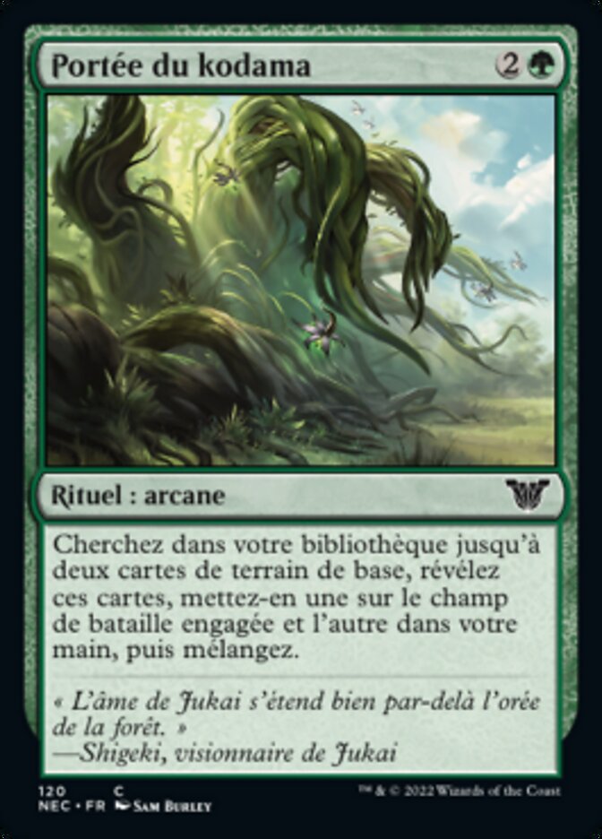 image Portée du kodama