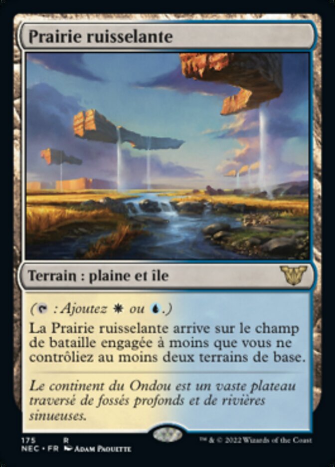 image Prairie ruisselante