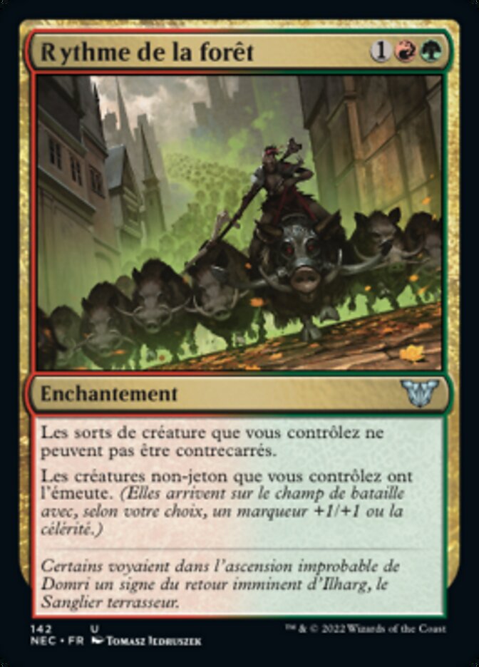 image Rythme de la forêt