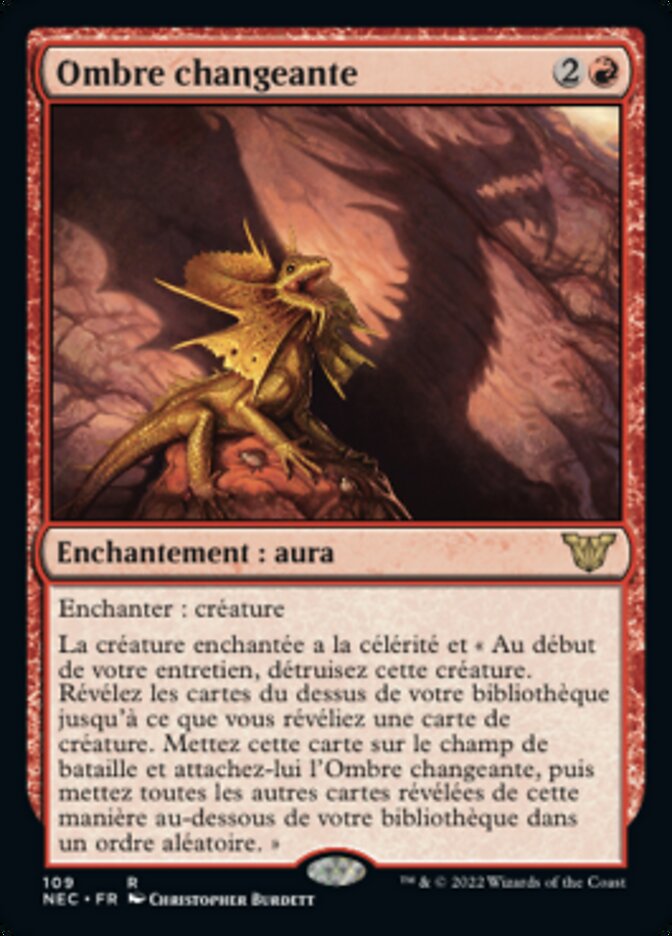 image Ombre changeante