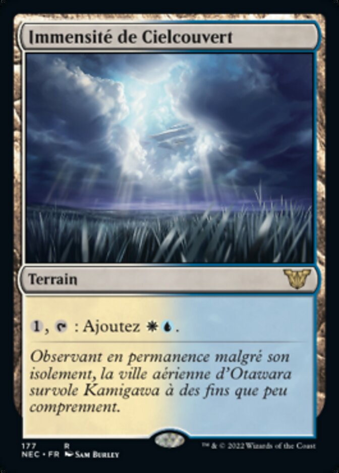 image Immensité de Cielcouvert