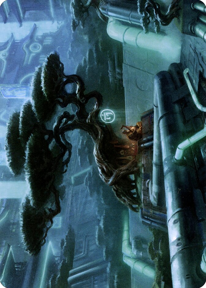 image Forest // Forest