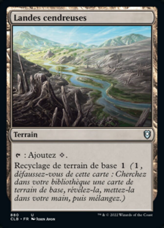 image Landes cendreuses