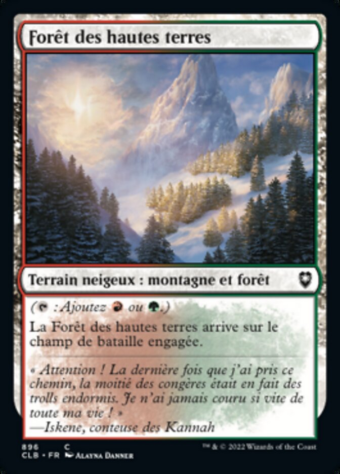 image Forêt des hautes terres