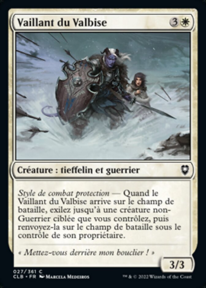 image Vaillant du Valbise