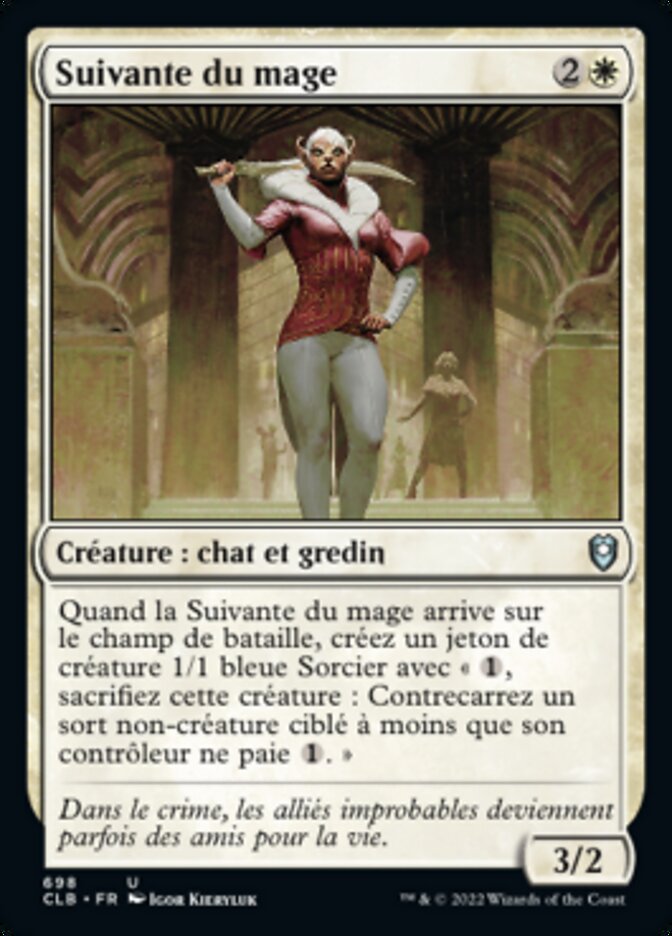 image Suivante du mage