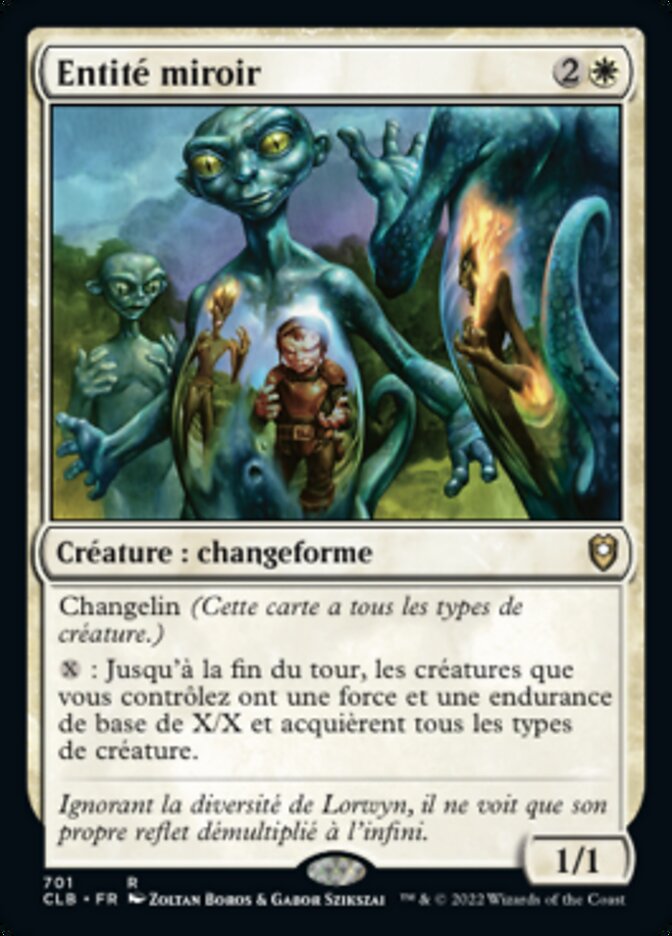 image Entité miroir