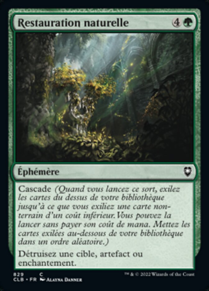 image Restauration naturelle