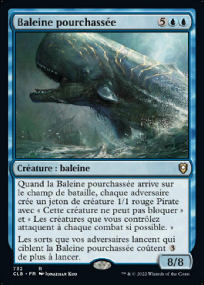 image Baleine pourchassée