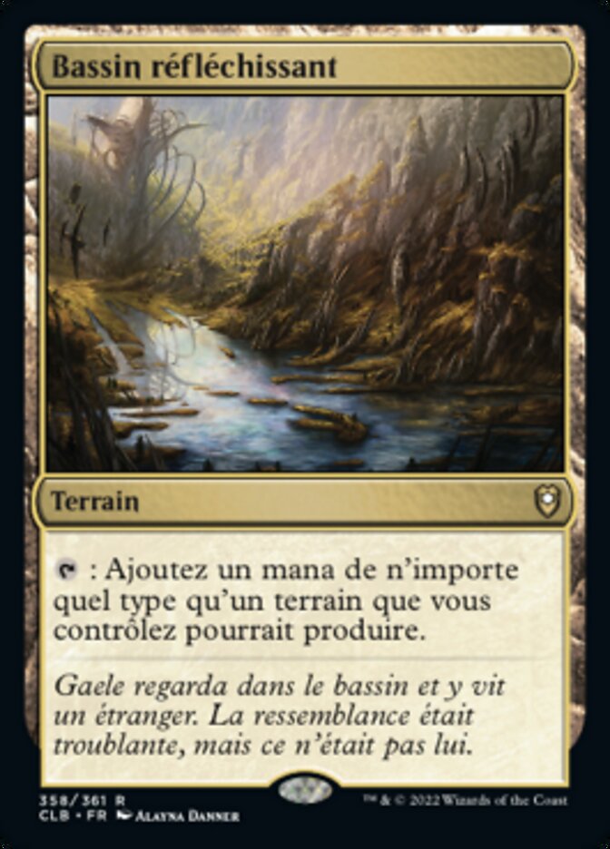 image Bassin réfléchissant