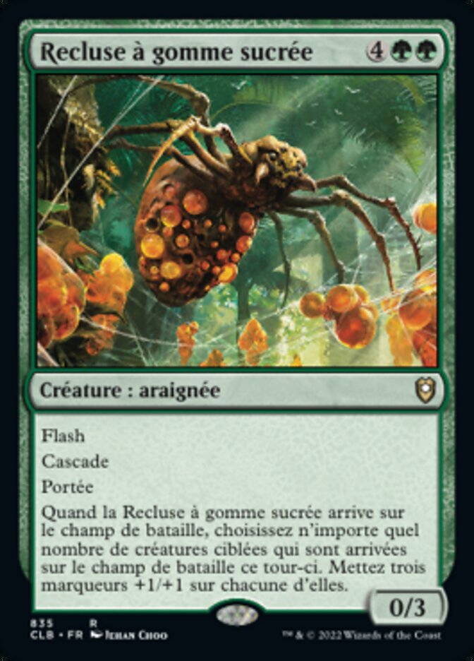 image Recluse à gomme sucrée