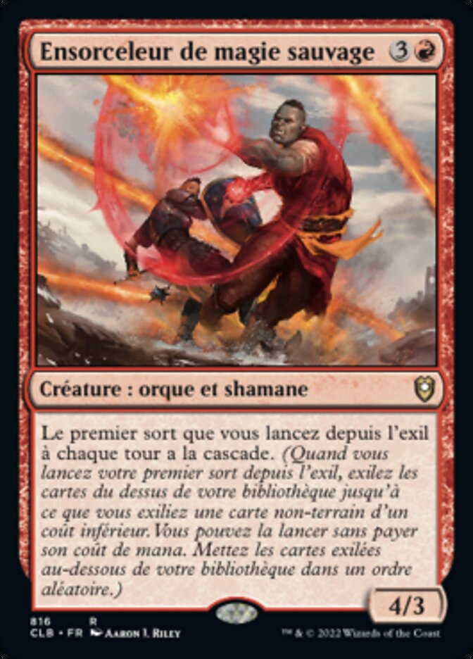 image Ensorceleur de magie sauvage