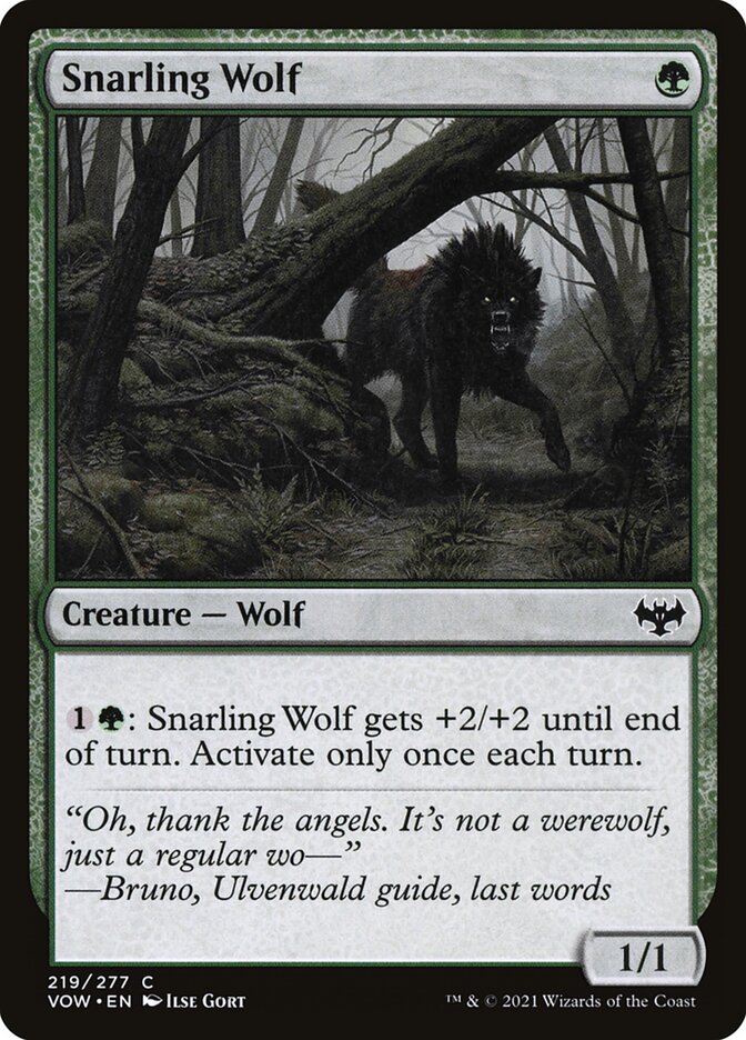 image Snarling Wolf