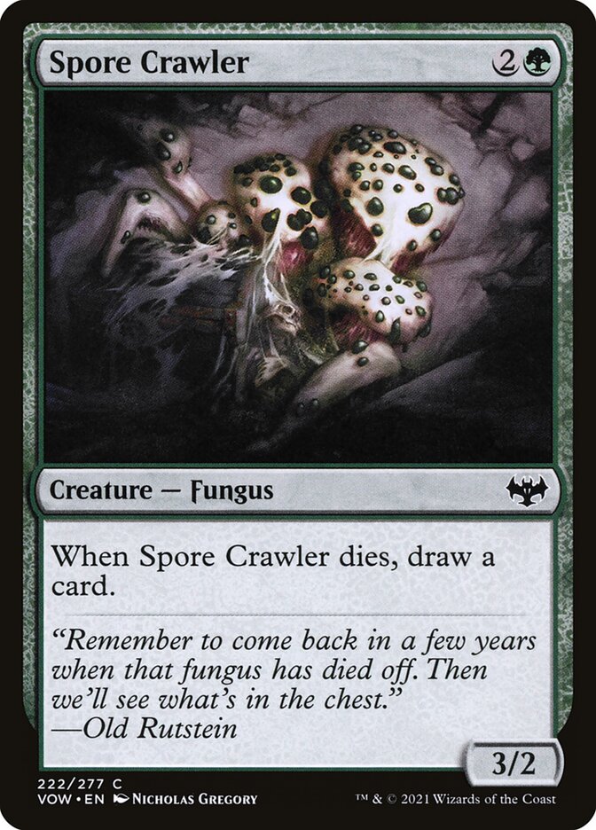 image Spore Crawler