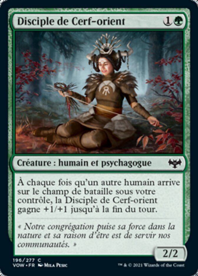 image Disciple de Cerf-orient