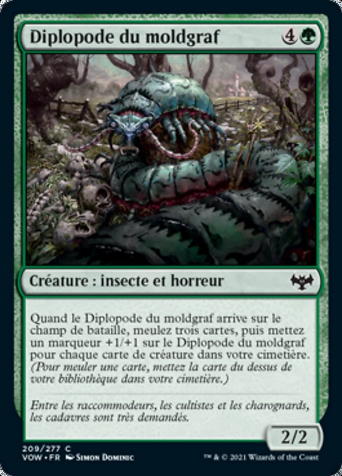 image Diplopode du moldgraf