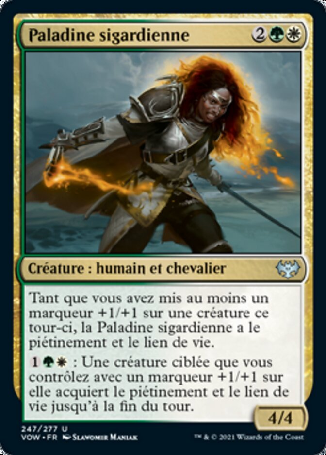 image Paladine sigardienne