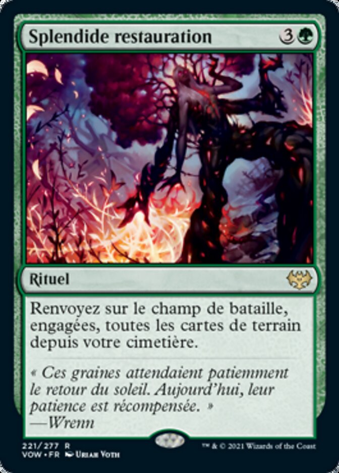 image Splendide restauration