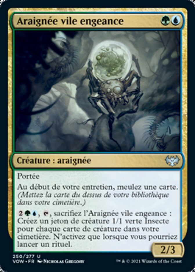 image Araignée vile engeance